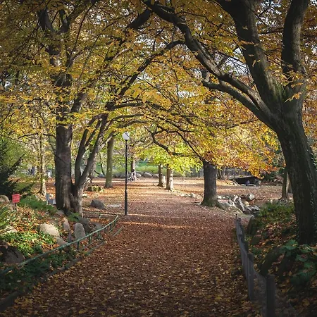 Wyspa 12 Daire Poznan